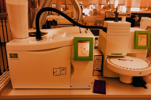 5 steps to sustainable business  image 1